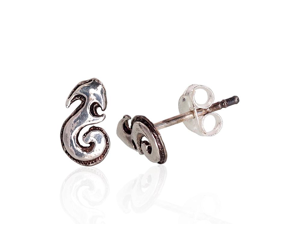 Silver stud earrings