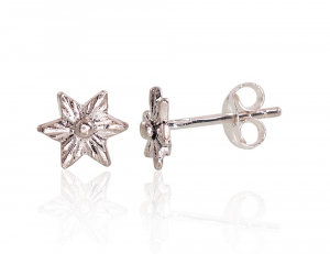 Silver stud earrings