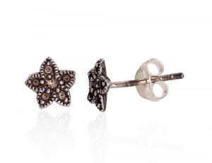 Silver stud earrings