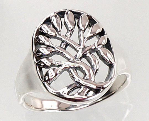 Silver ring