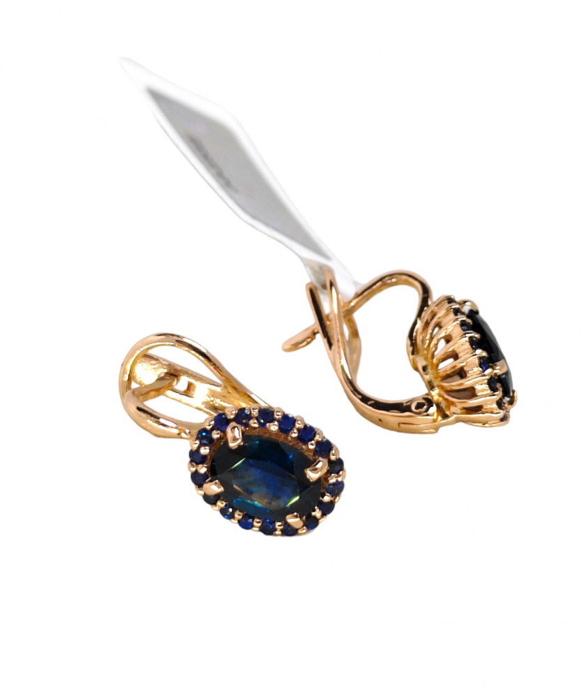 Gold earrings Gold earrings