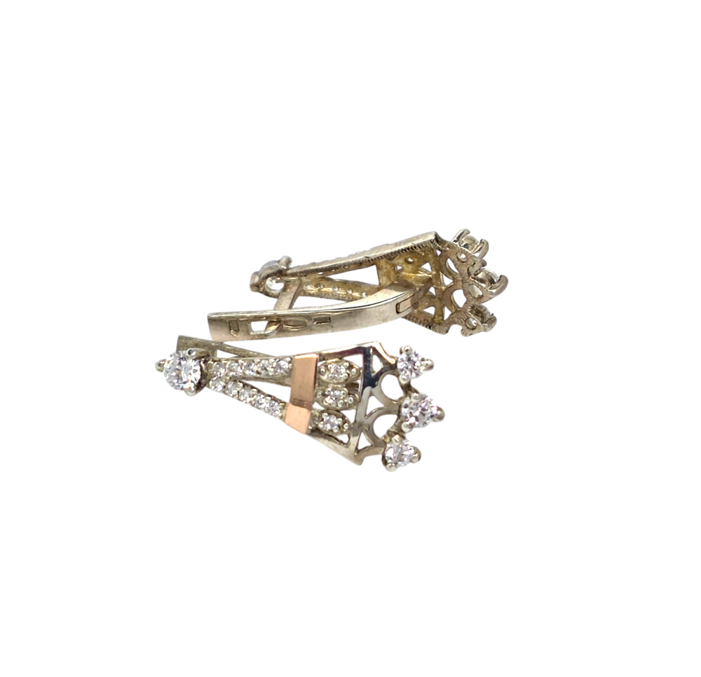 Sidabrinės auskarai