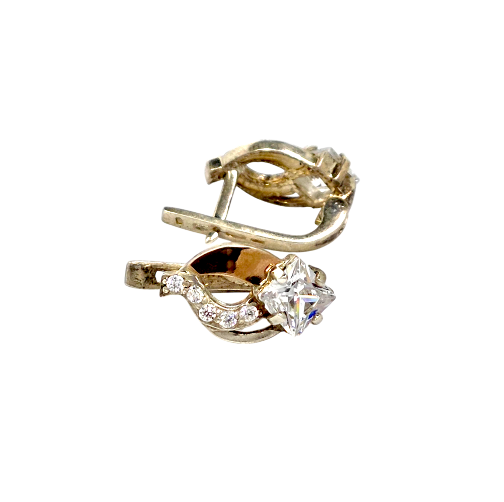 Sidabrinės auskarai