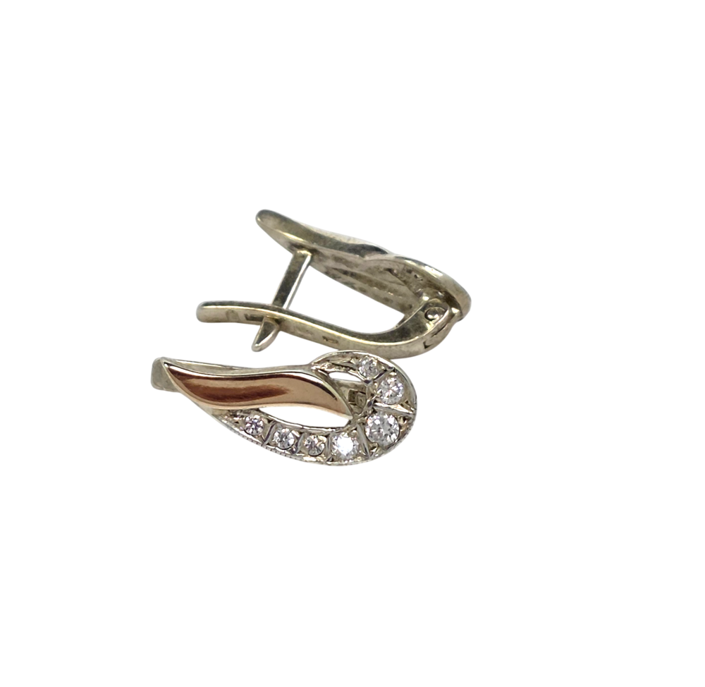 Sidabriniai auskarai